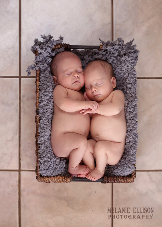 Triplets Six Month Photoshoot Devoted Hands Doula